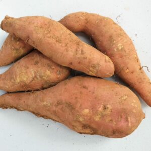 PATATE DOUCE ROUGE 1 KG