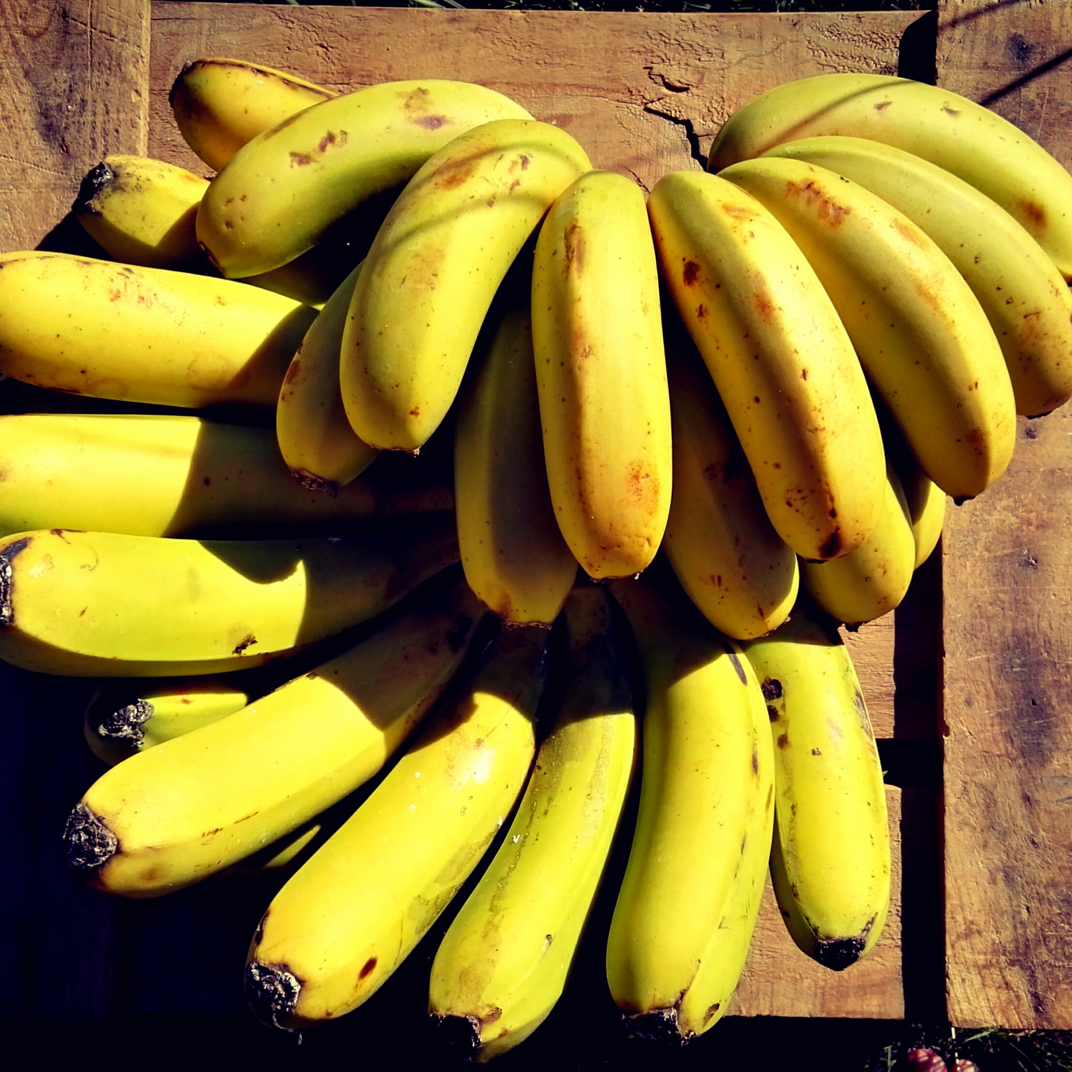 bananes-4e-kg-iles-canaries-2