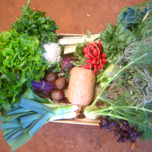 PANIER LÉGUMES SAISON