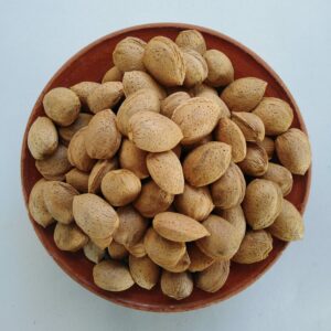 AMANDES EN COQUE 1 KG