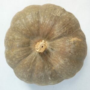 POTIRON PIÈCE 2-3 KG