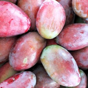 MANGUE IBÉRIQUE  3 KG