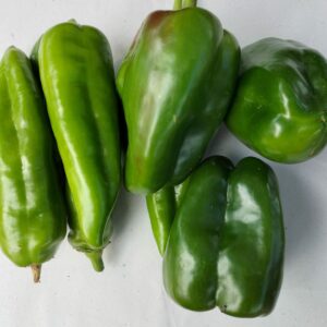 MIX POIVRONS VERTS 1,5 KG