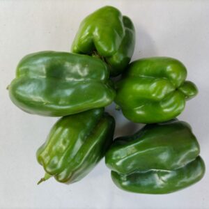 POIVRON VERT CARRÉ 500 GR.