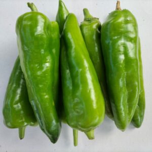 POIVRON VERT ALLONGÉ 500 GR.