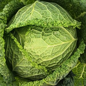 CHOU VERT Unité
